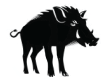 The Boar